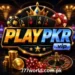 PlayPkr Game